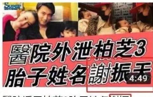 娱乐吃瓜名字怎么取的啊,揭秘“娱乐吃瓜”名字背后的趣味与智慧