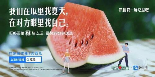 娱乐吃瓜常用文案图片,吃瓜群众必备的幕后花絮大汇总
