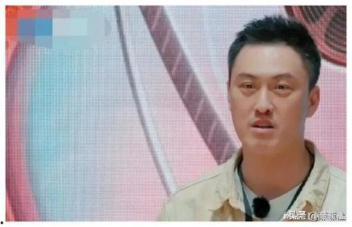 吃瓜博主娱乐圈是谁啊,揭秘“吃瓜博主娱乐圈”背后的神秘力量