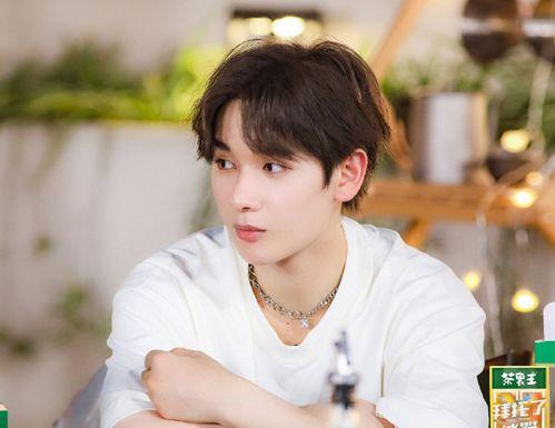 娱乐圈吃瓜龚俊是谁,娱乐圈吃瓜界的焦点人物