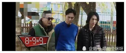 娱乐圈吃瓜爆料姐弟恋,姐弟恋风波再起，揭秘明星恋情背后的真相